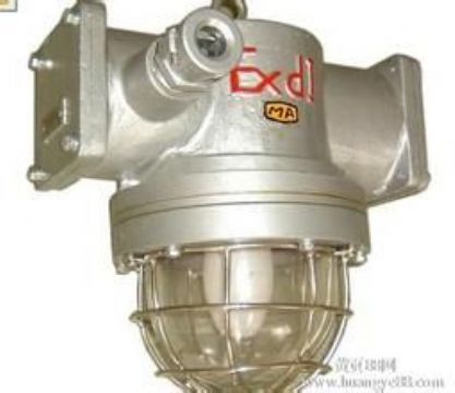點擊查看詳細信息<br>標題：DGC175/127礦用隔爆型投光燈 閱讀次數：1791