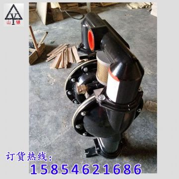 點擊查看詳細信息<br>標題：氣動隔膜泵著名品牌-氣動隔膜泵廠家 閱讀次數：1925