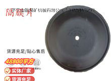 點擊查看詳細信息<br>標題：氣動隔膜泵配件-隔膜片 閱讀次數：221