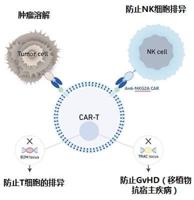 實體瘤CAR-T的破局者 科濟藥業李宗海談全球研發進展、海外布局與下一代技術