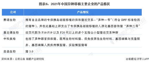 洞察2022 中國異種移植行業(yè)競爭格局深度解析——研發(fā)對比、投融資與業(yè)務布局盤點